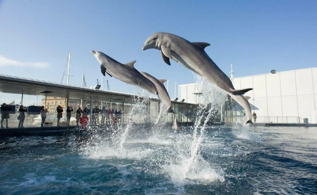 Apartmán Nervi Cozy Loft Sapore Di Mare Vicino Acquario Di Genova 0*, Janov Itálie